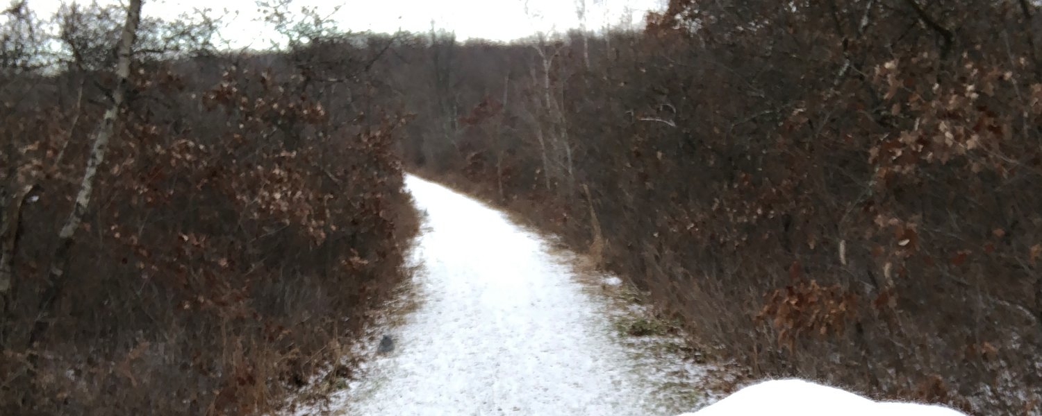 Michele Millington Delaware & Lehigh Half Marathon Run/Walk