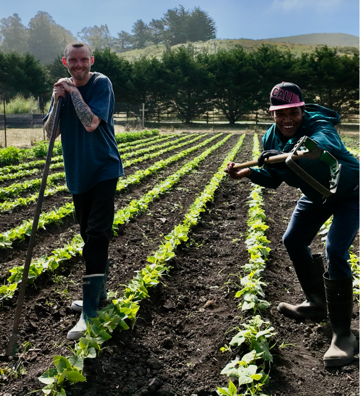 Card background image