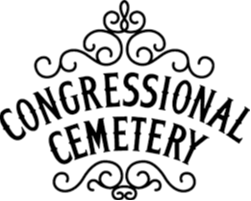 Card background image