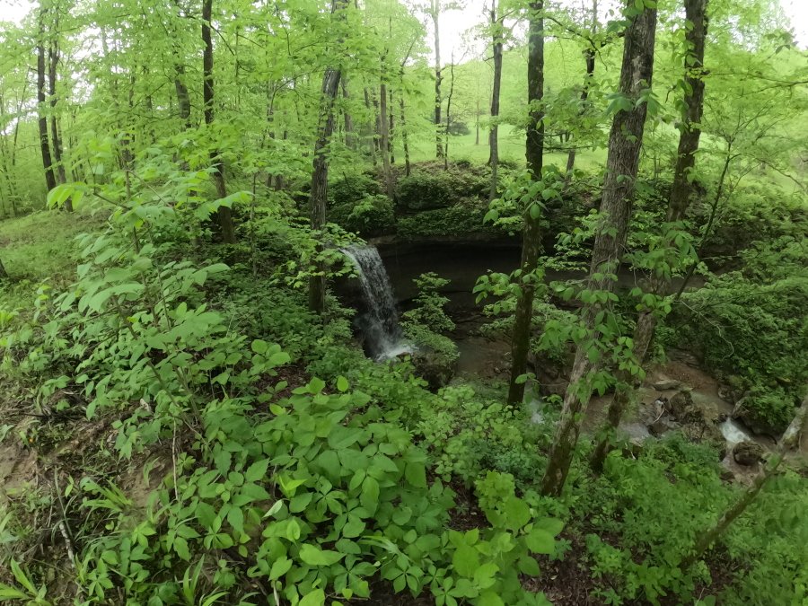 Slideshow Image
