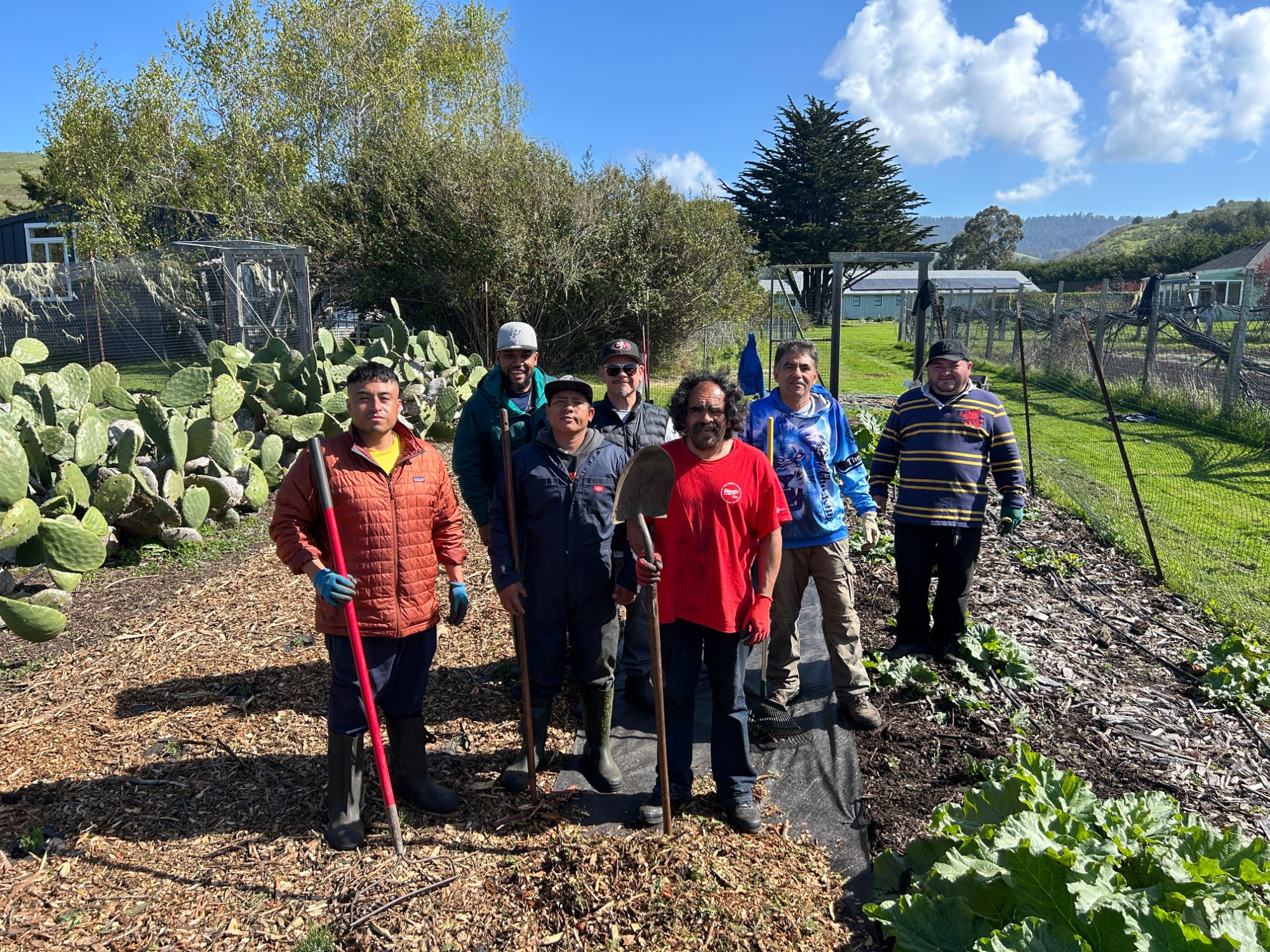 Card background image