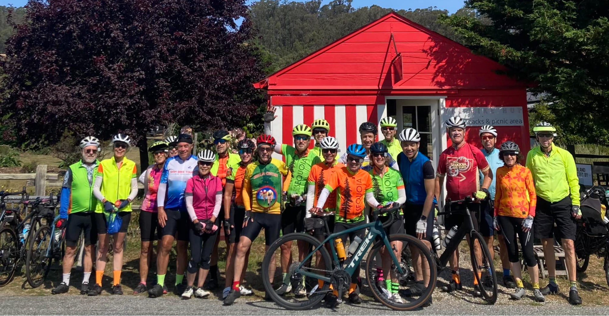 Card background image