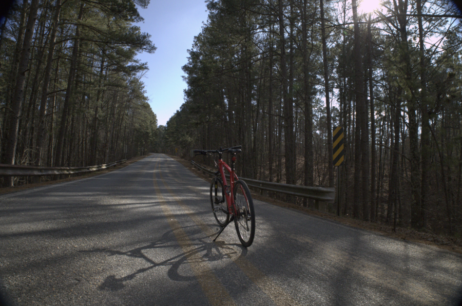 Trek Dual Sport 2 in the center of a street in the woods.