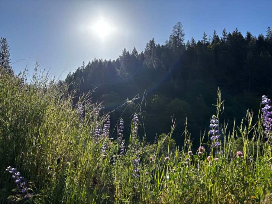 Slideshow Image