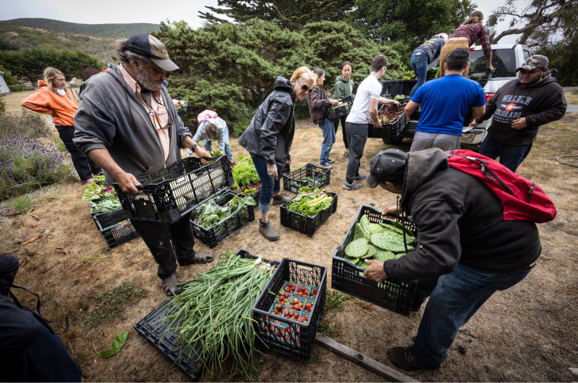 Card background image