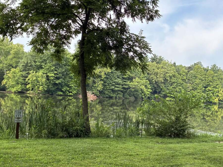Slideshow Image