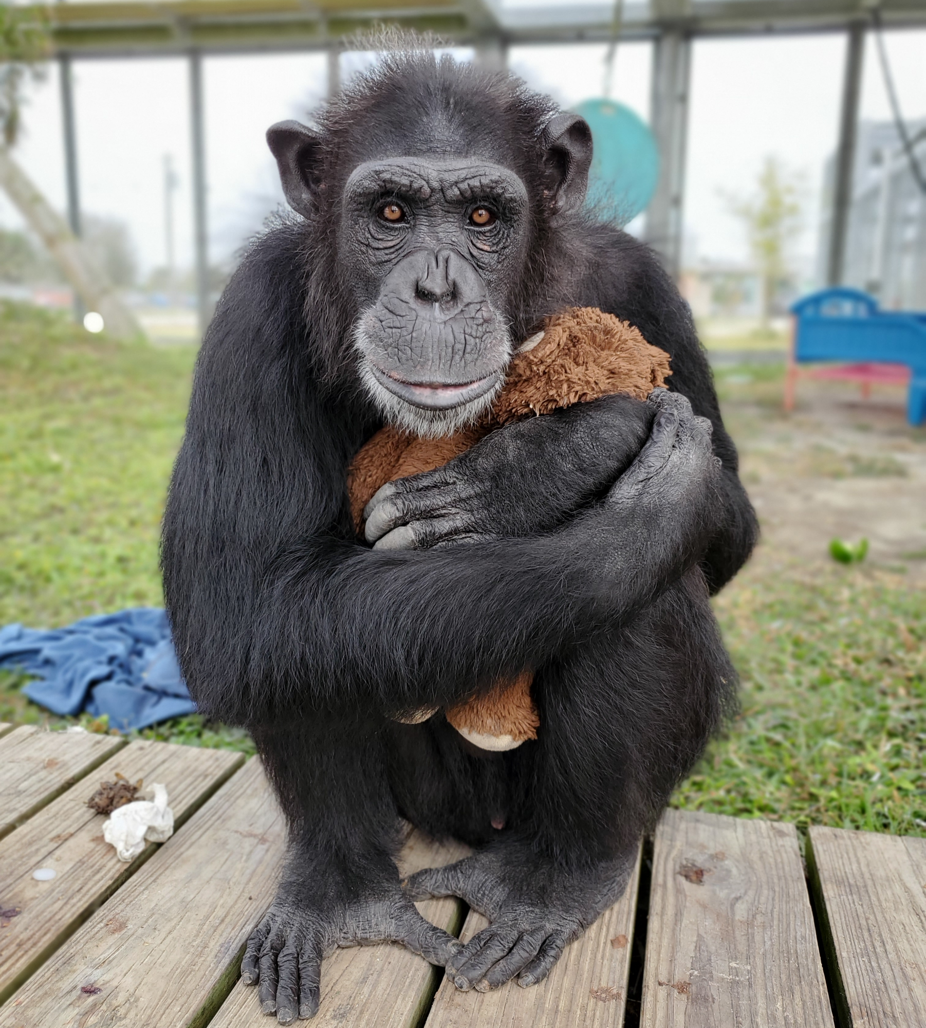 Tuffy with his teddy bear
