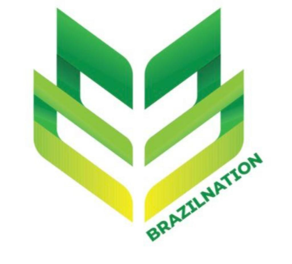 BrazilNation Ink Oficial Brand Logo