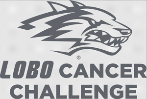 LCC logo, gray