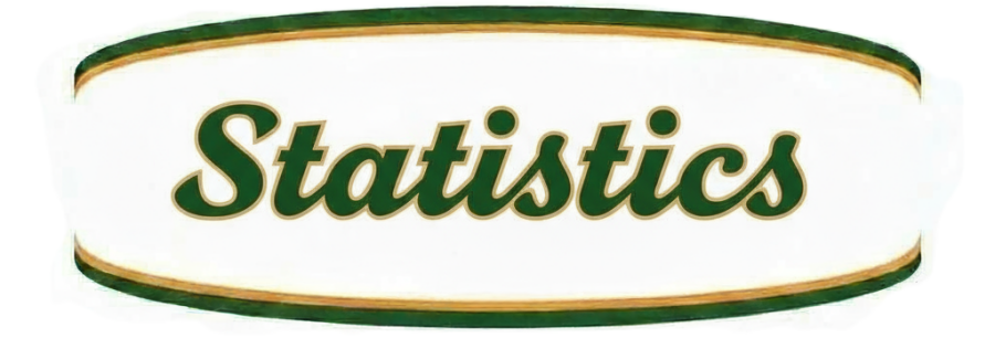 Your Race or Company Name