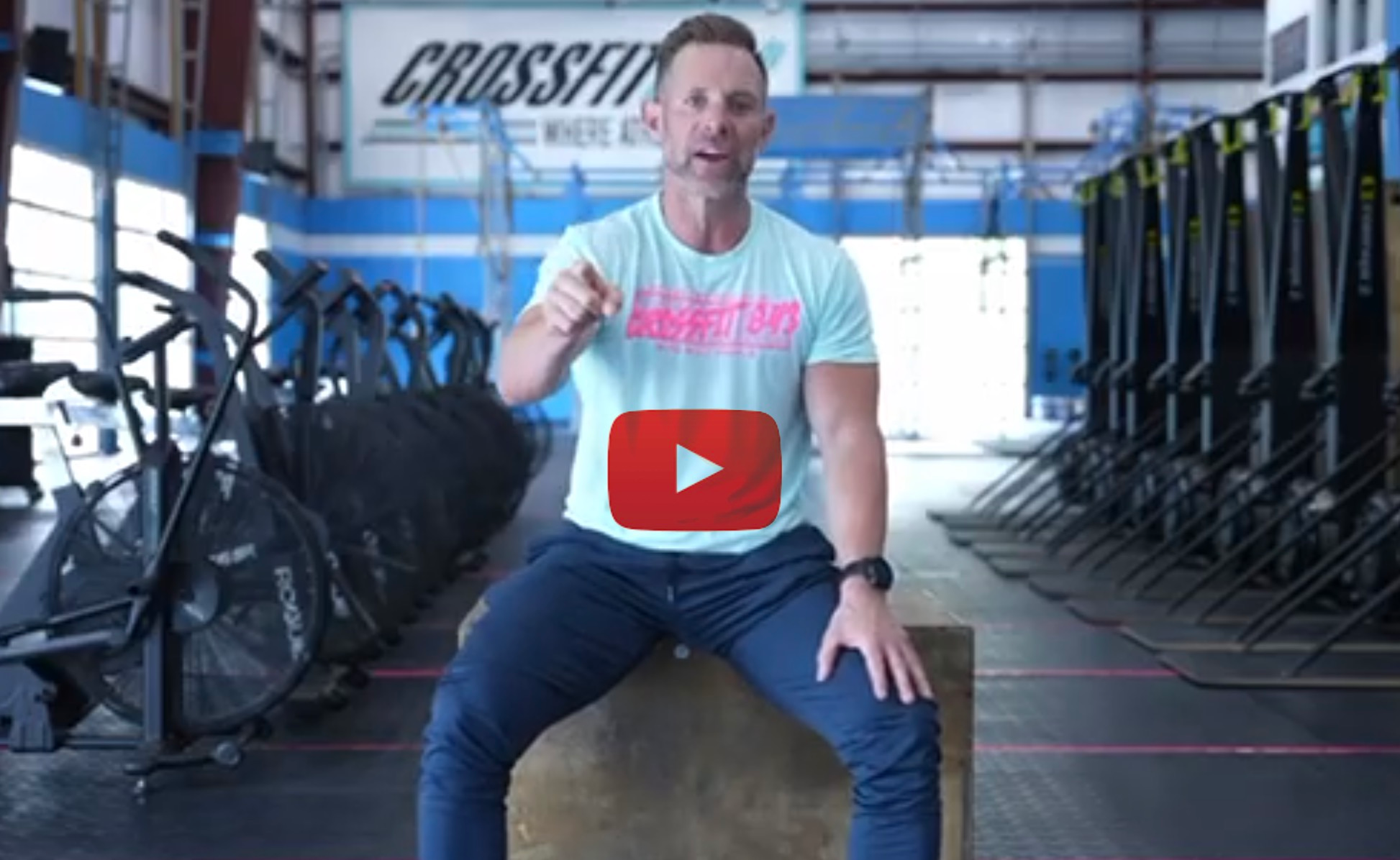 catalioto hybrid classic