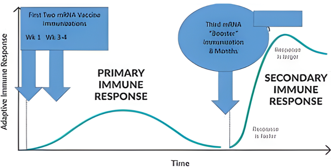 First Two miNA Vaccine