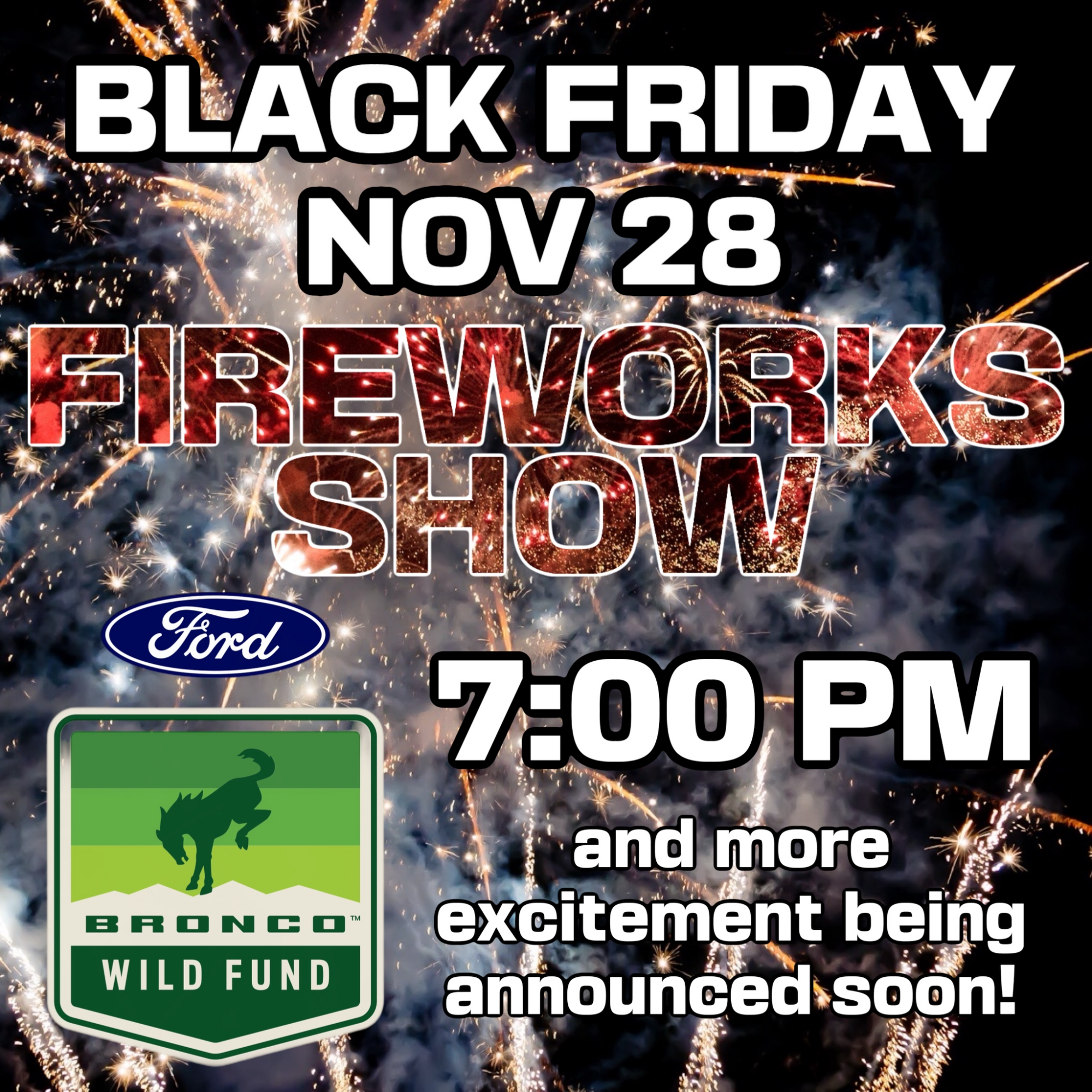 Fireworks Nov 28