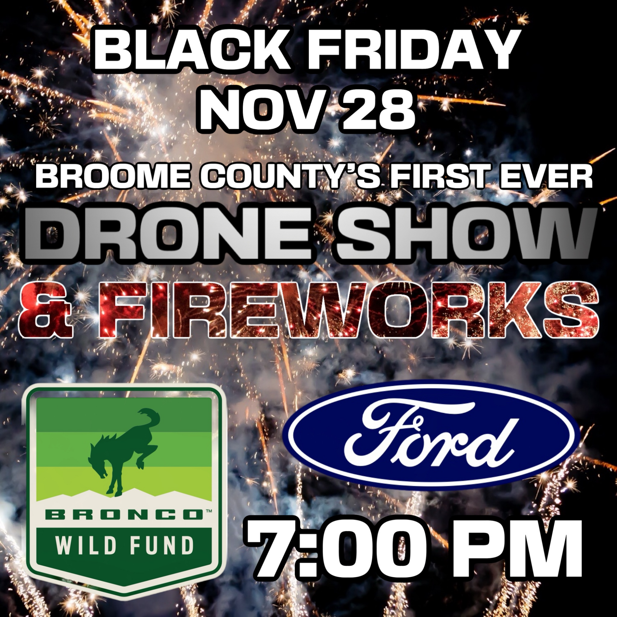 Fireworks Nov 28