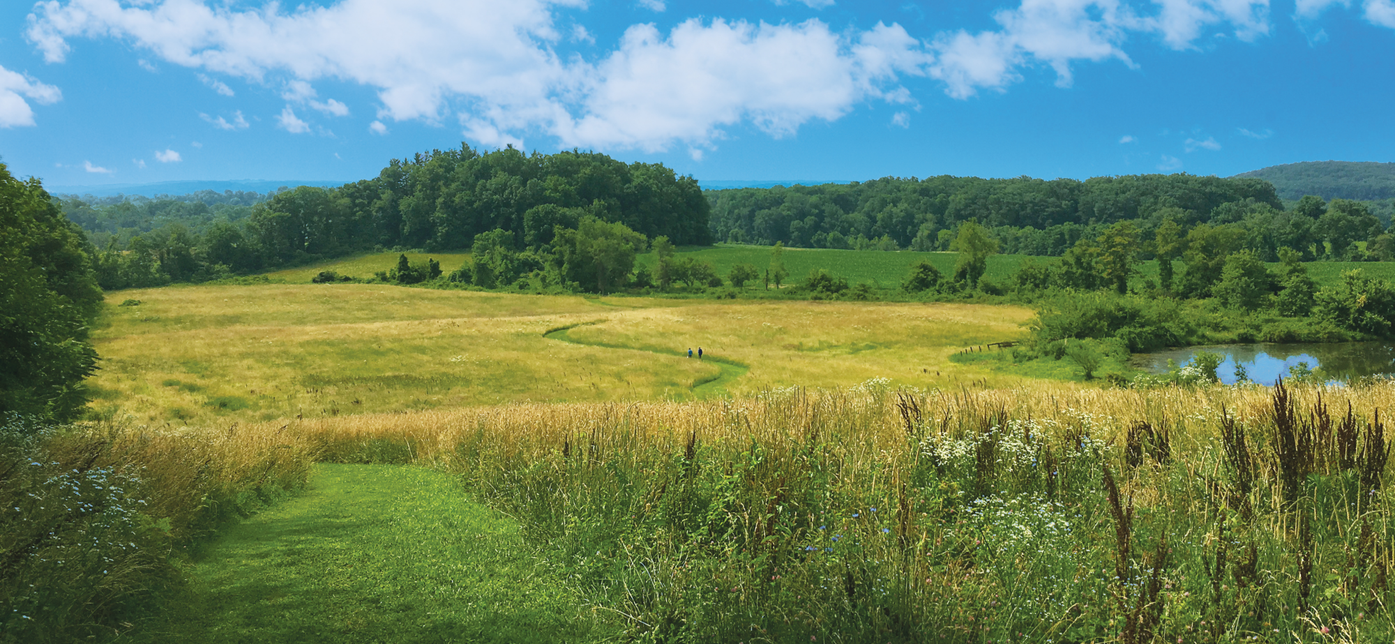 photo by Caleb Arrowood