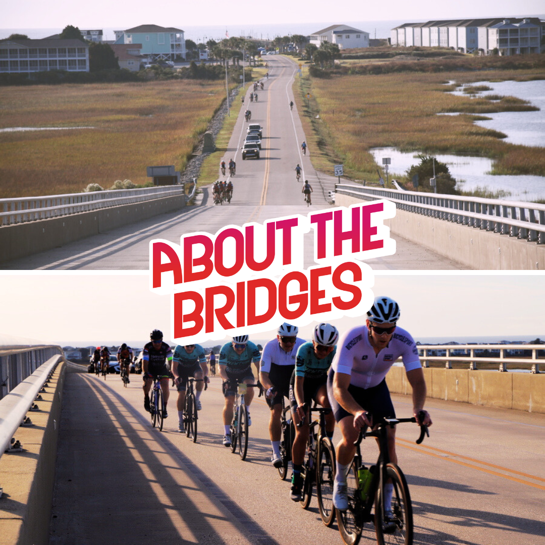 Learn about the bridges