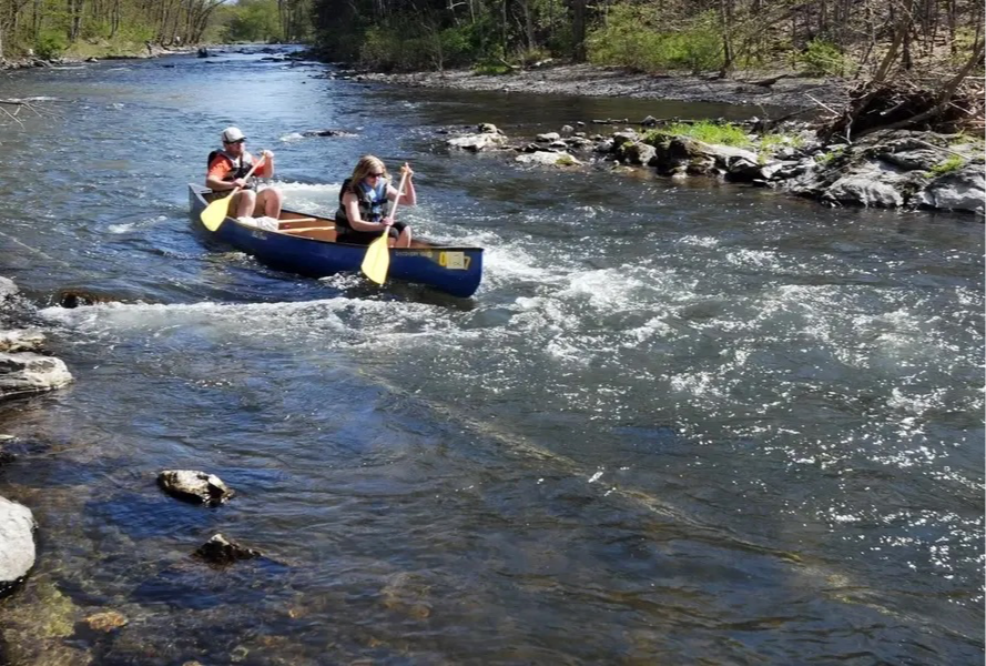 Card background image