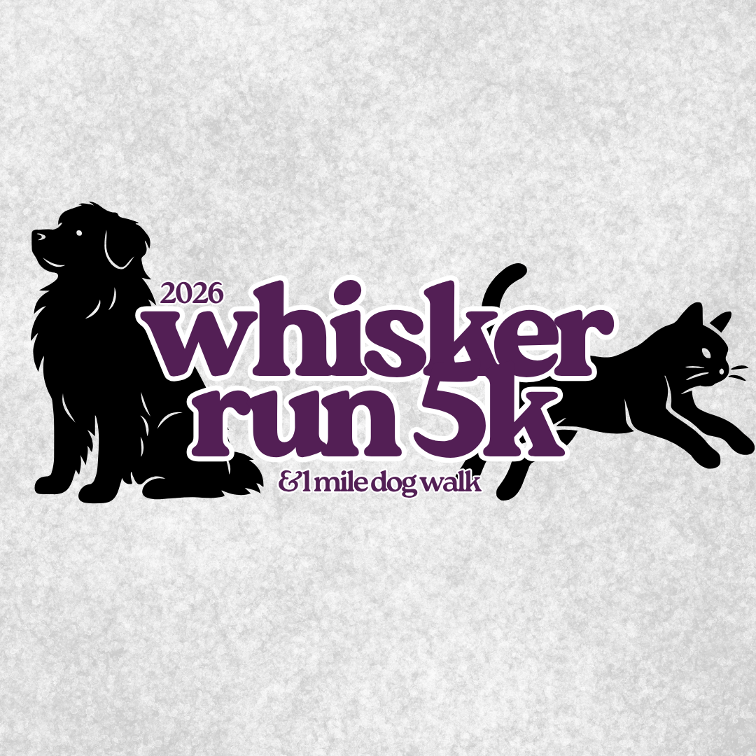 Card background image