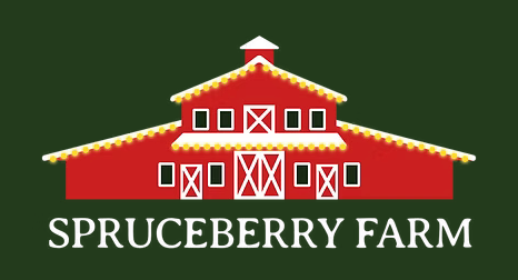 Card background image