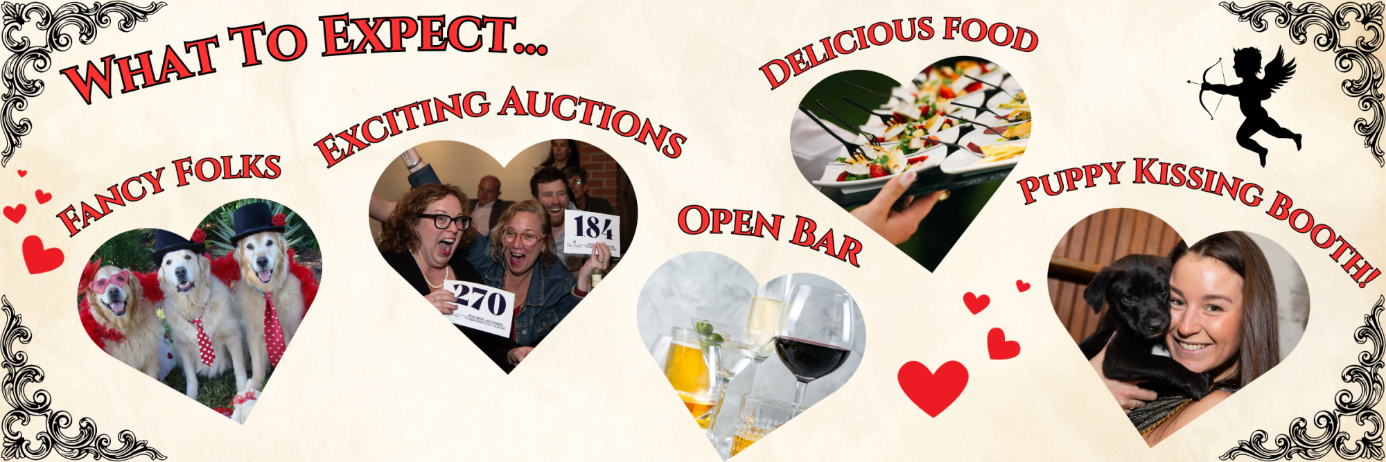 What to expect: fancy folks, exciting auctions, open bar, delicious food, puppy kissing booth