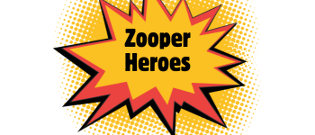 Card background image