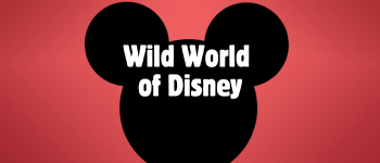 Card background image