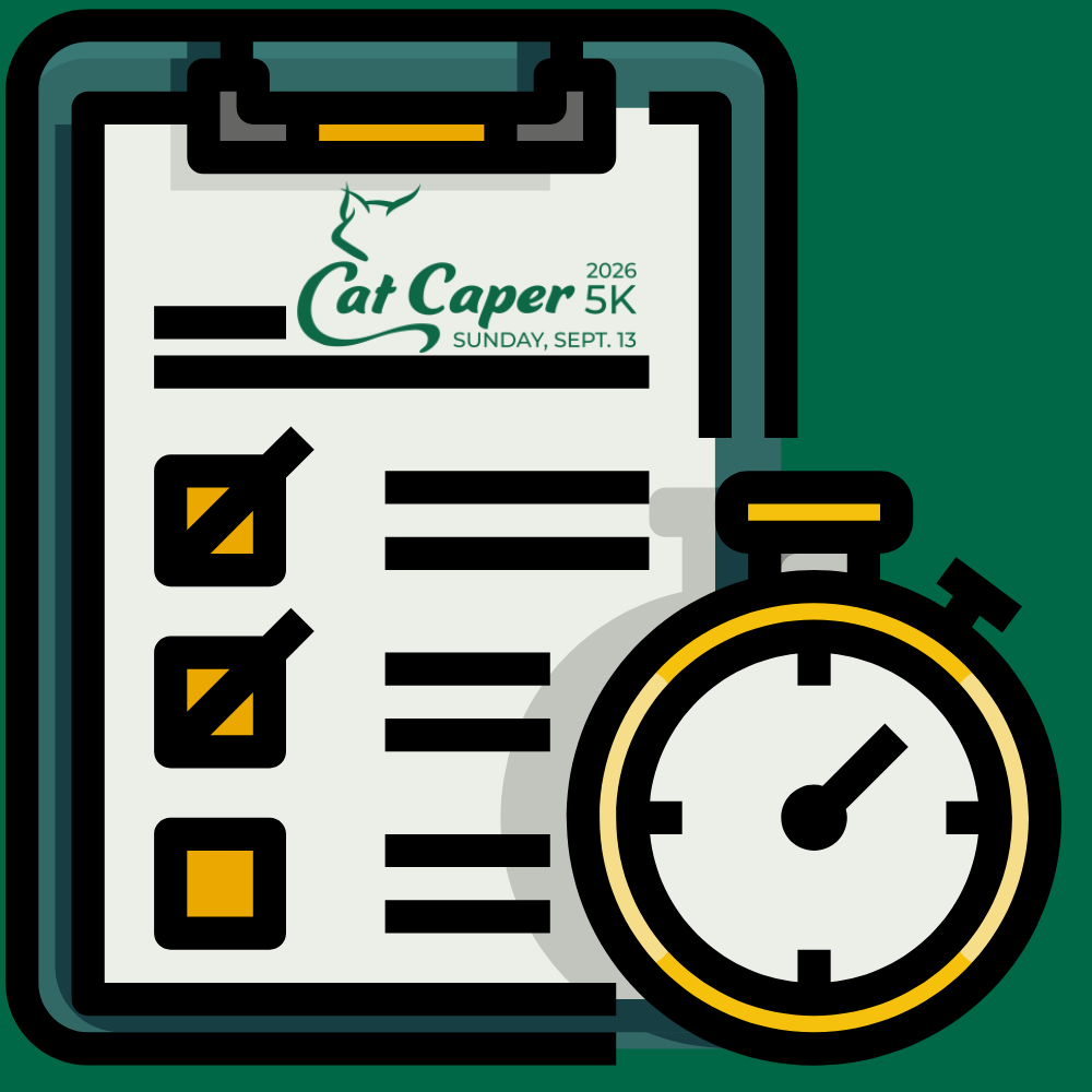 Race Day Schedule Image