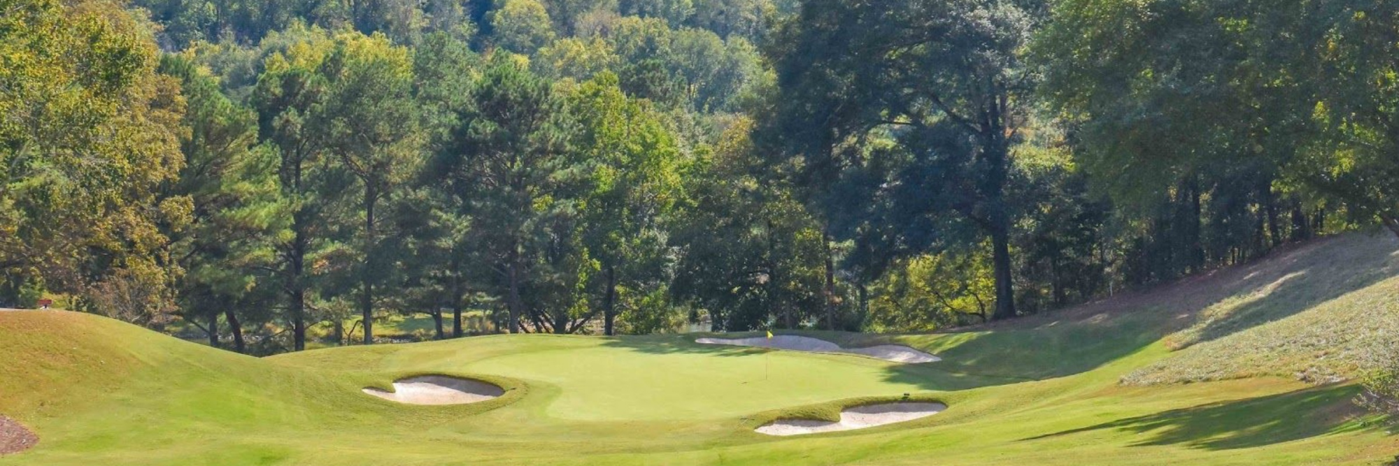 Card background image