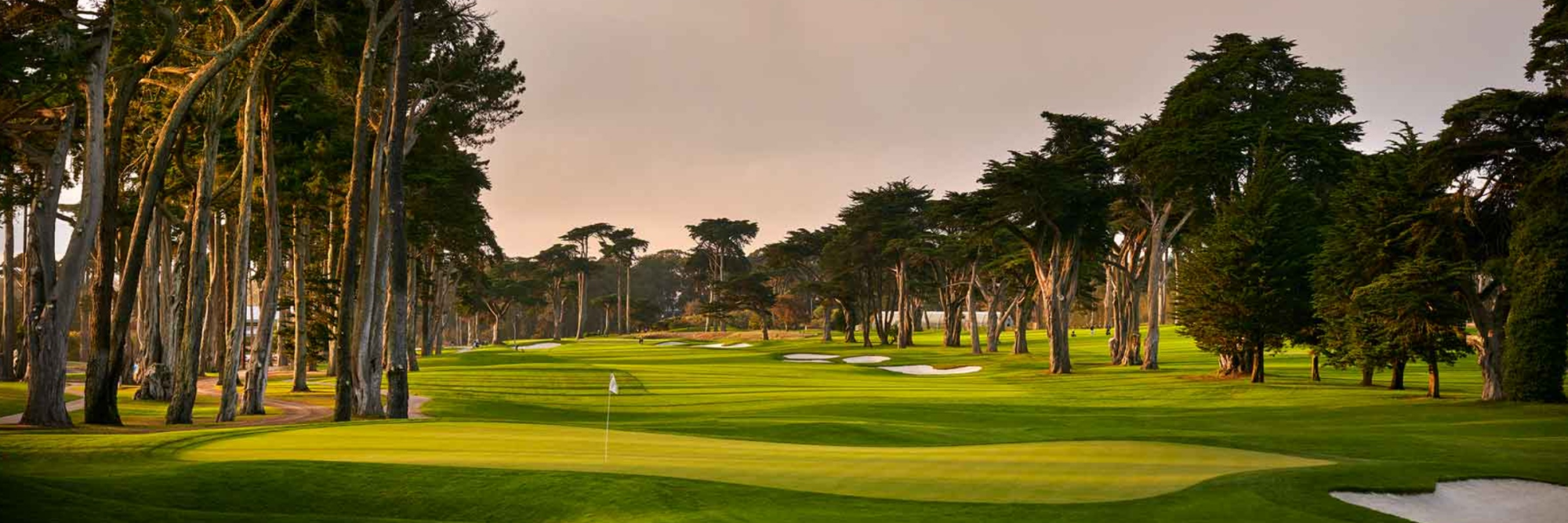 Card background image