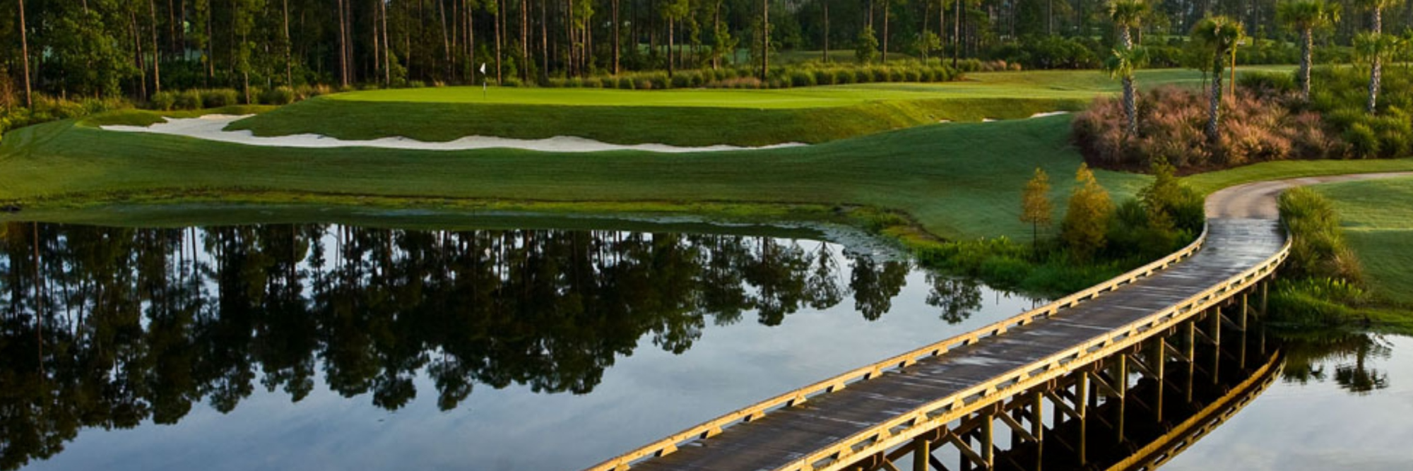 Card background image