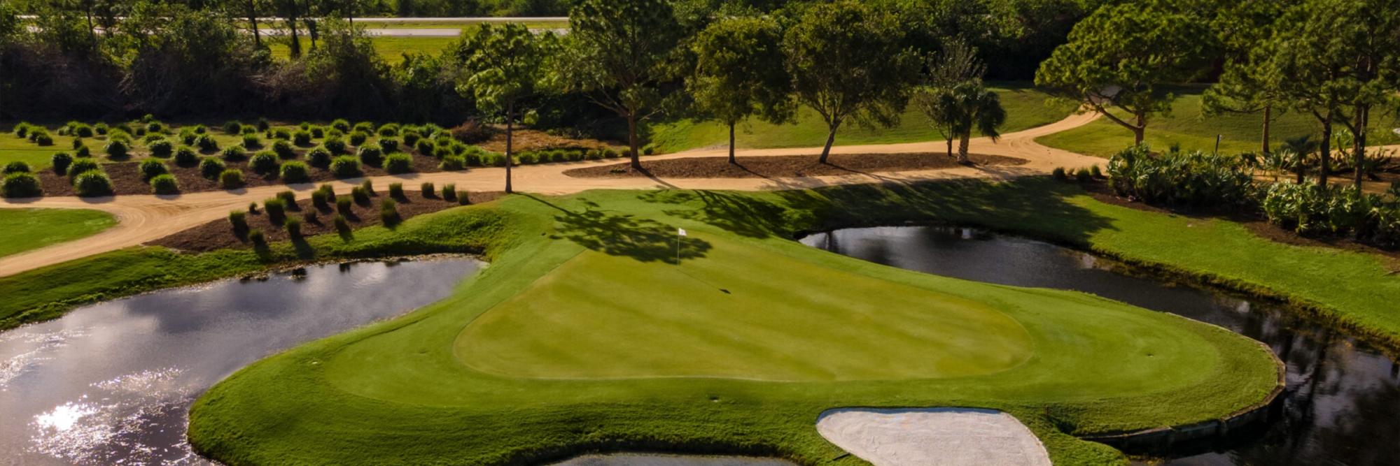 Card background image