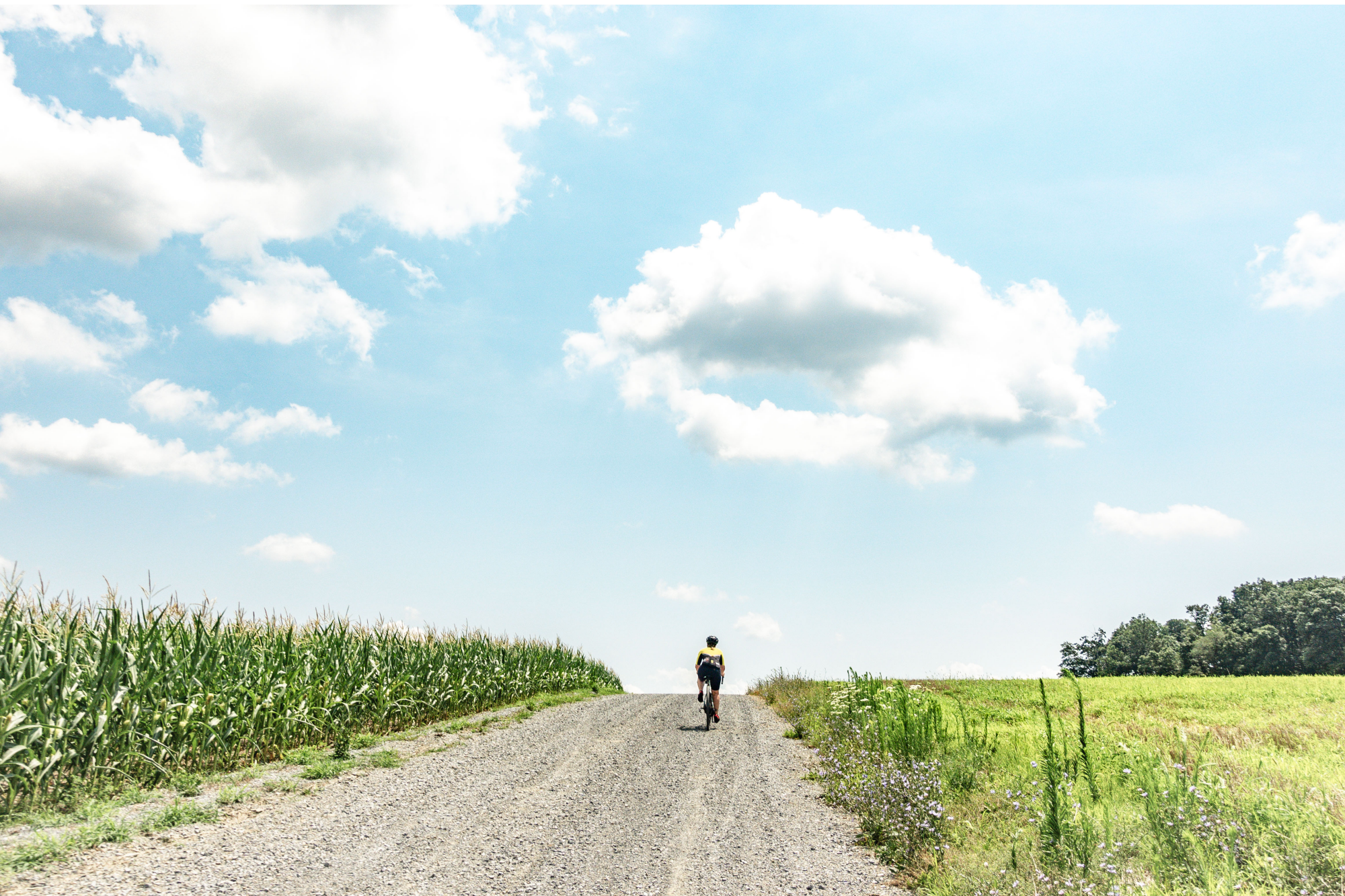 Card background image