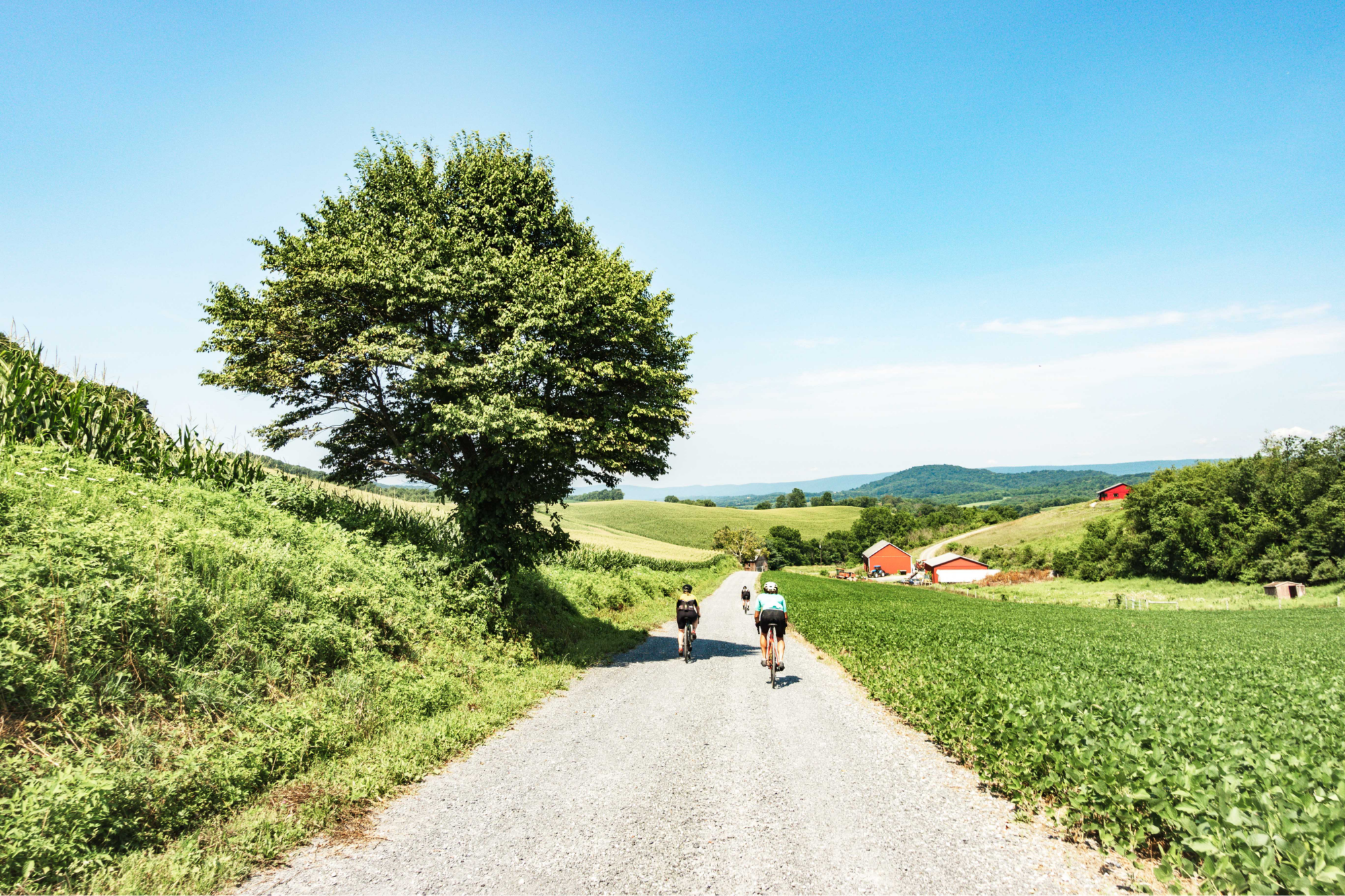 Card background image