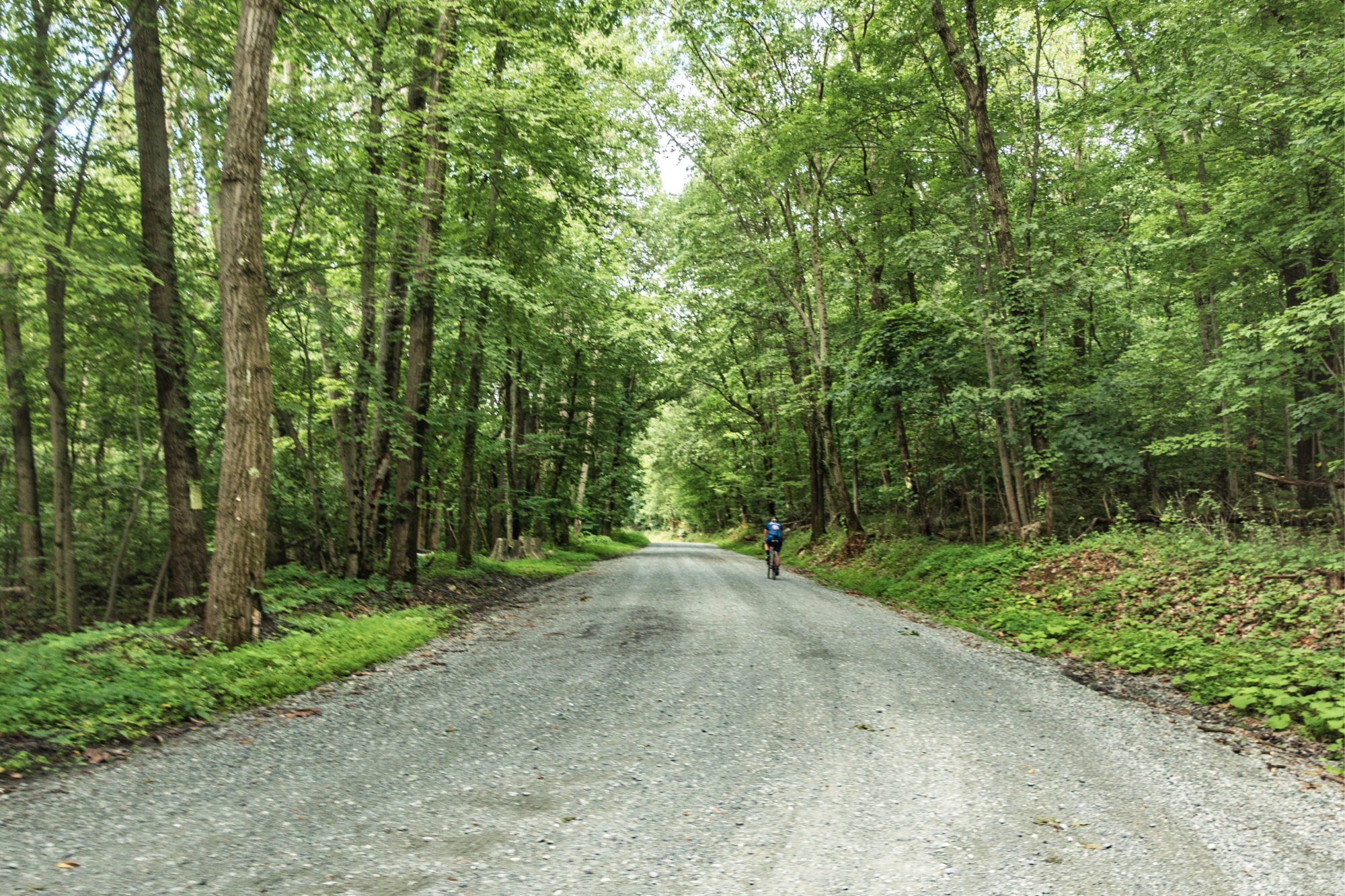 Card background image