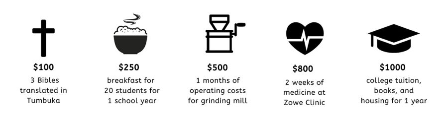 Donation impact amounts