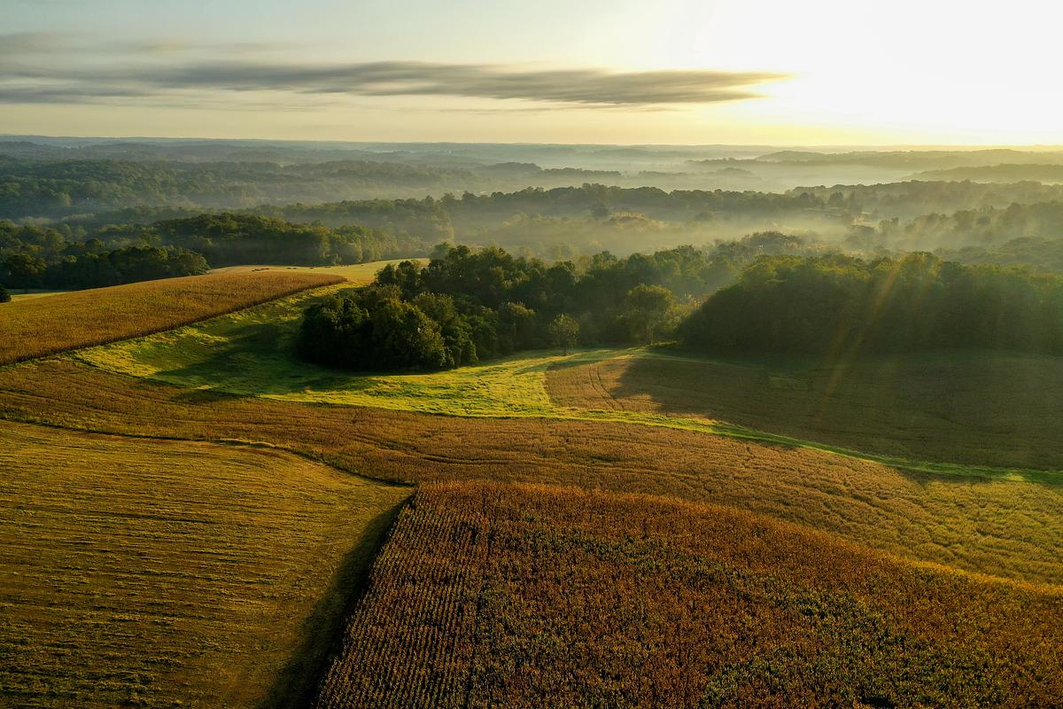 Card background image