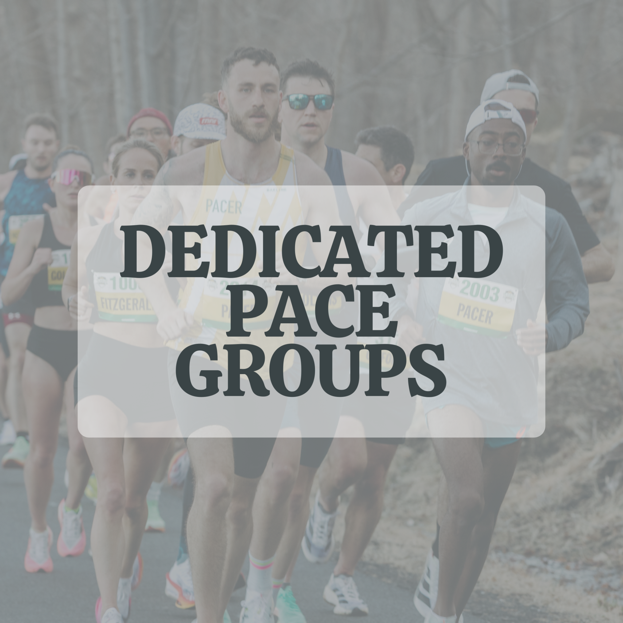 Dedicated pace groups