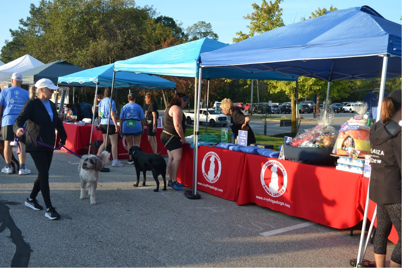 Card background image