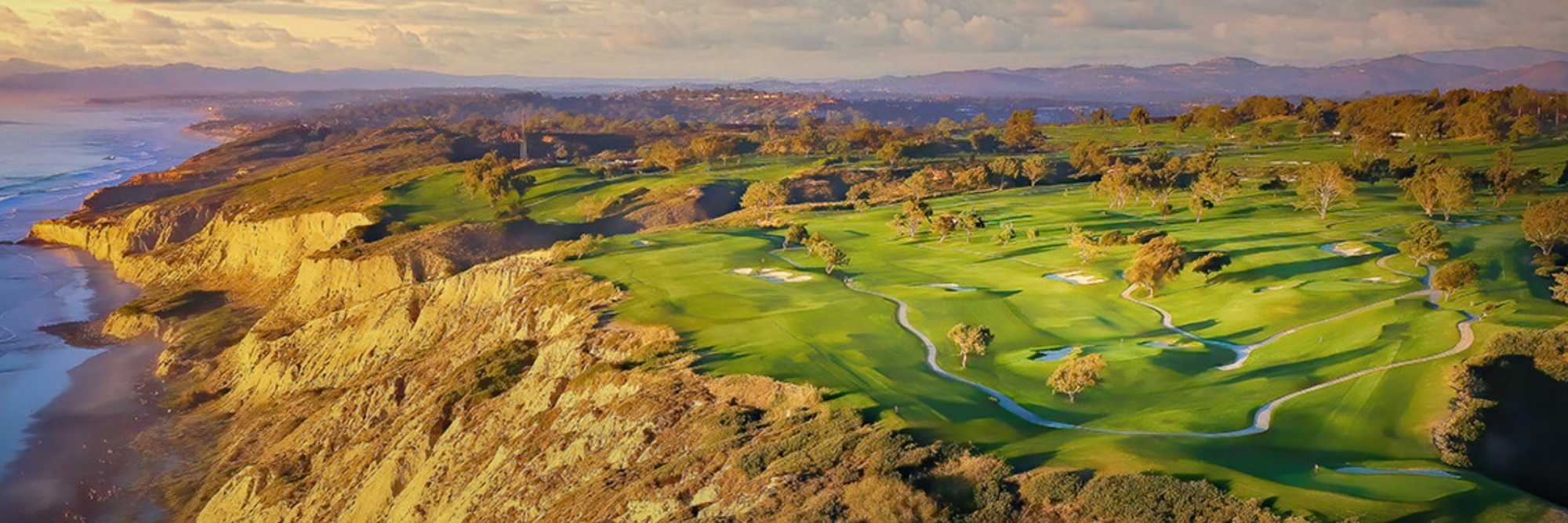 Card background image