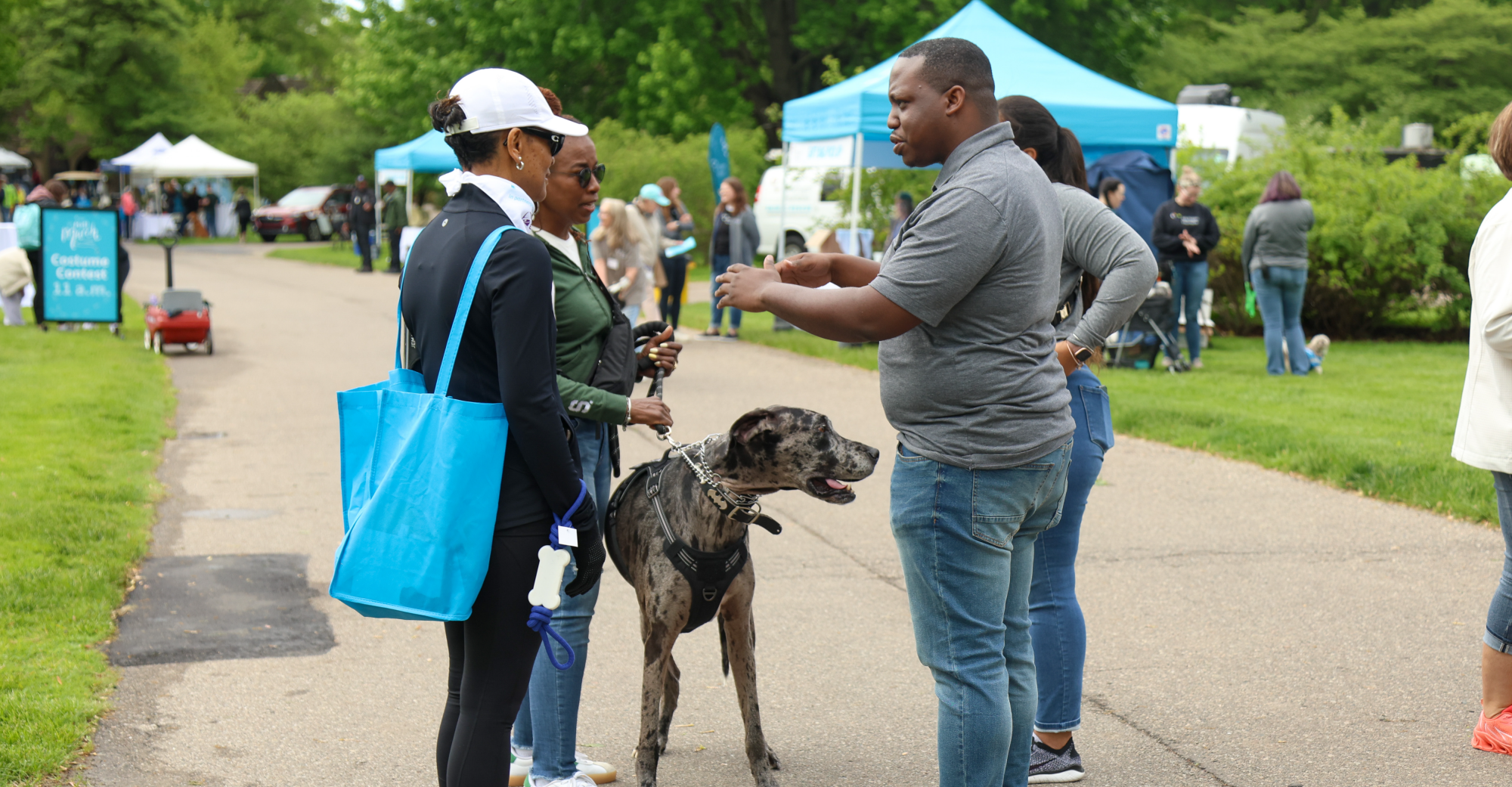 Card background image