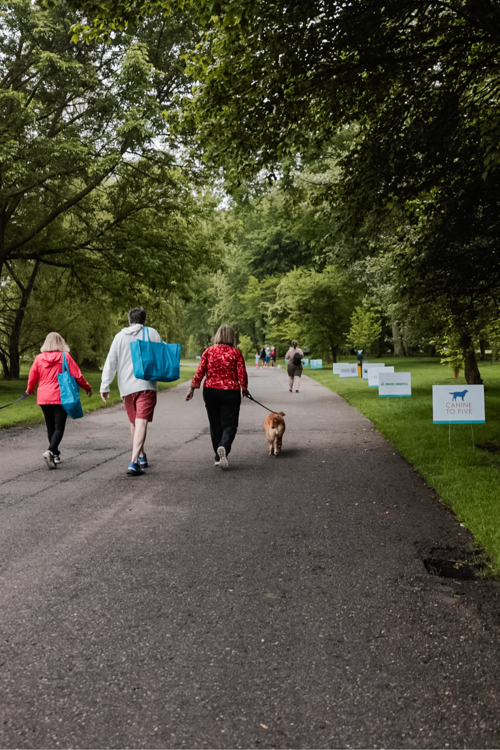 Card background image