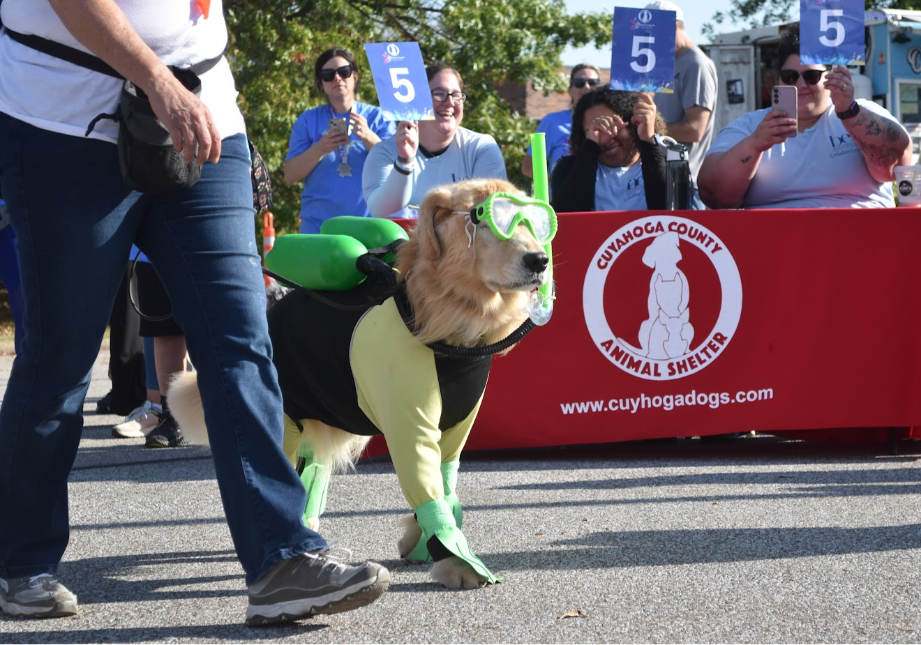 Card background image