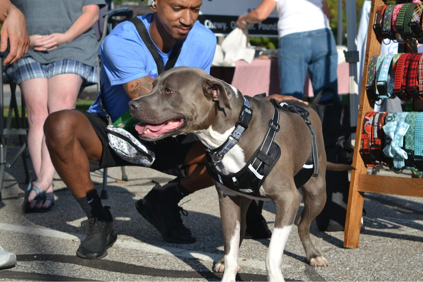 Card background image