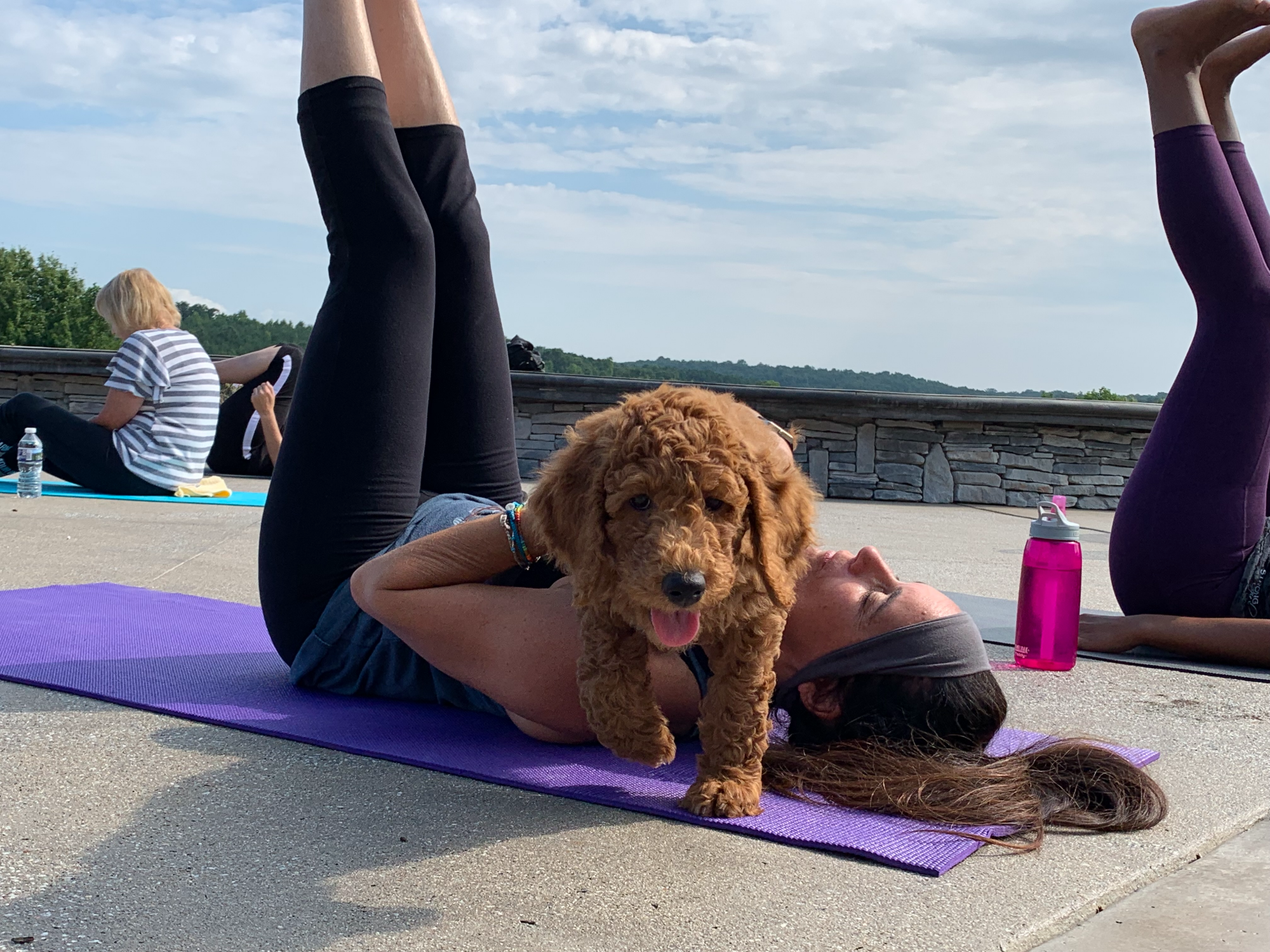 Puppy on Yoga Attendee