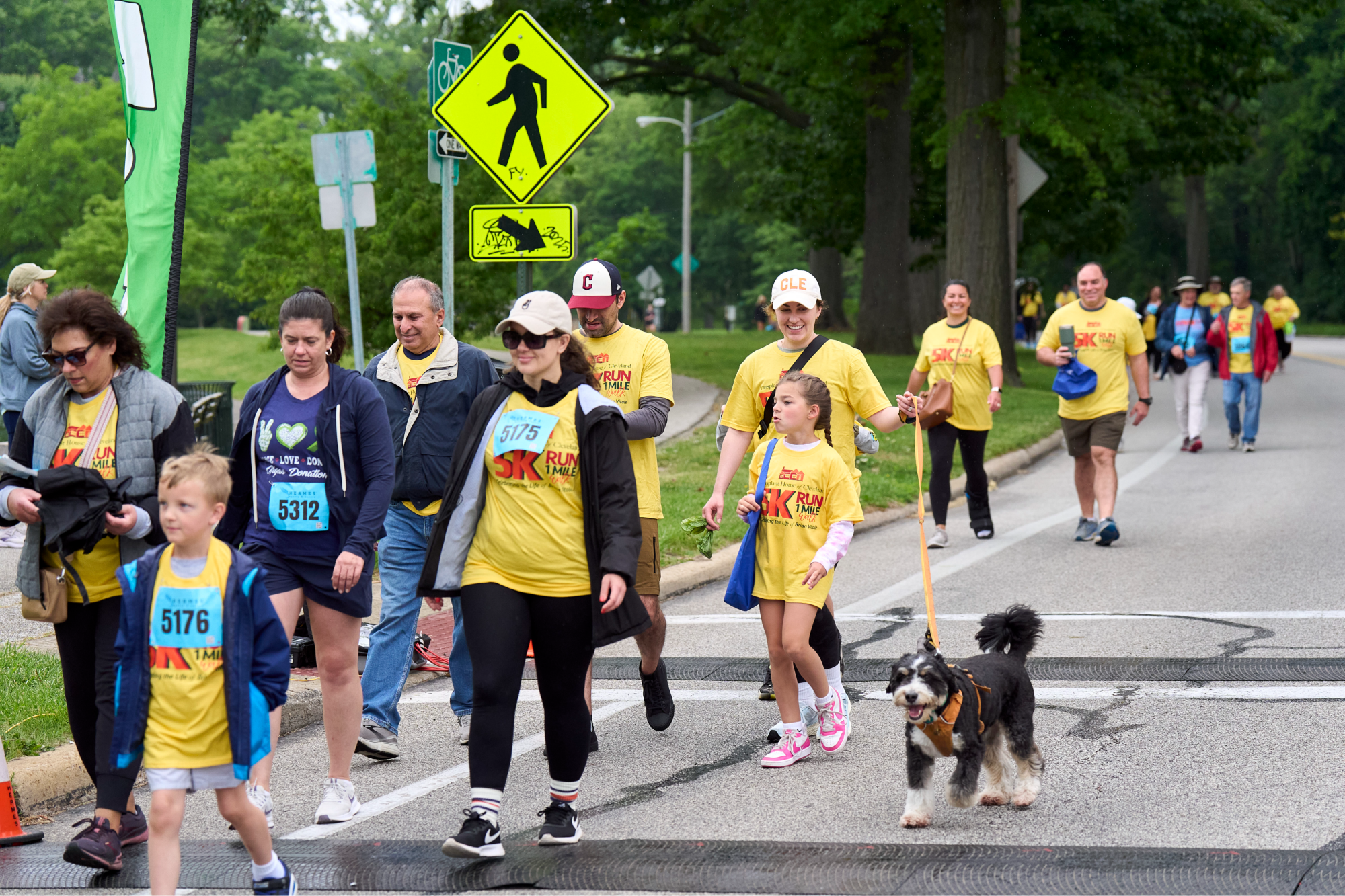 Card background image