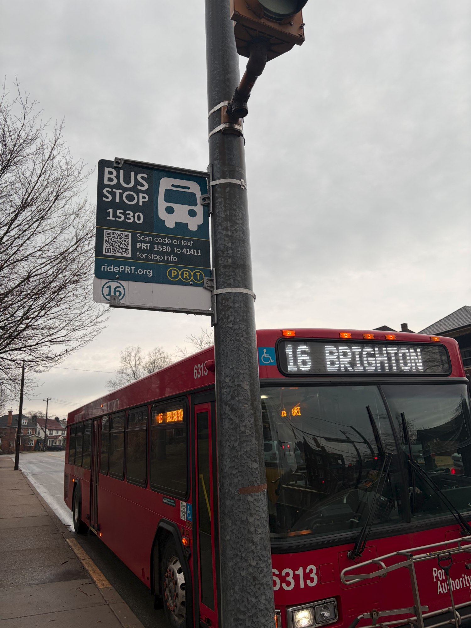 consider taking the bus