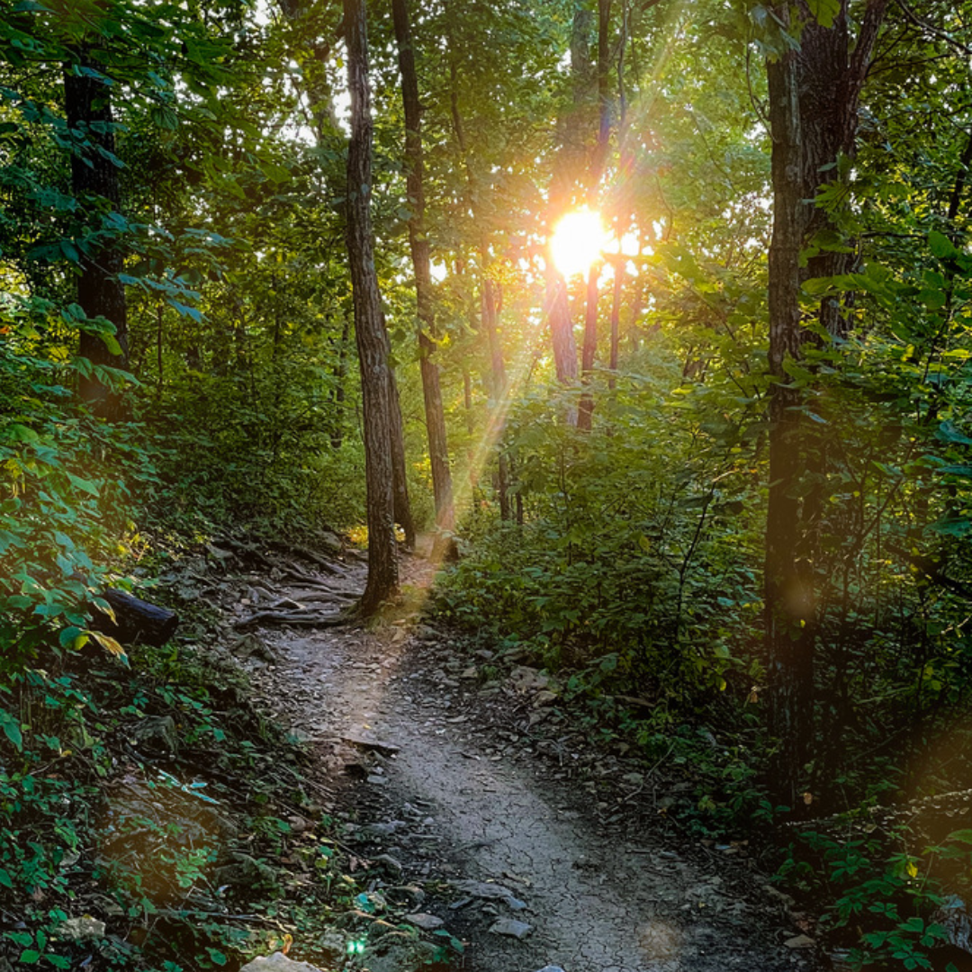 Shawnee Mission Park