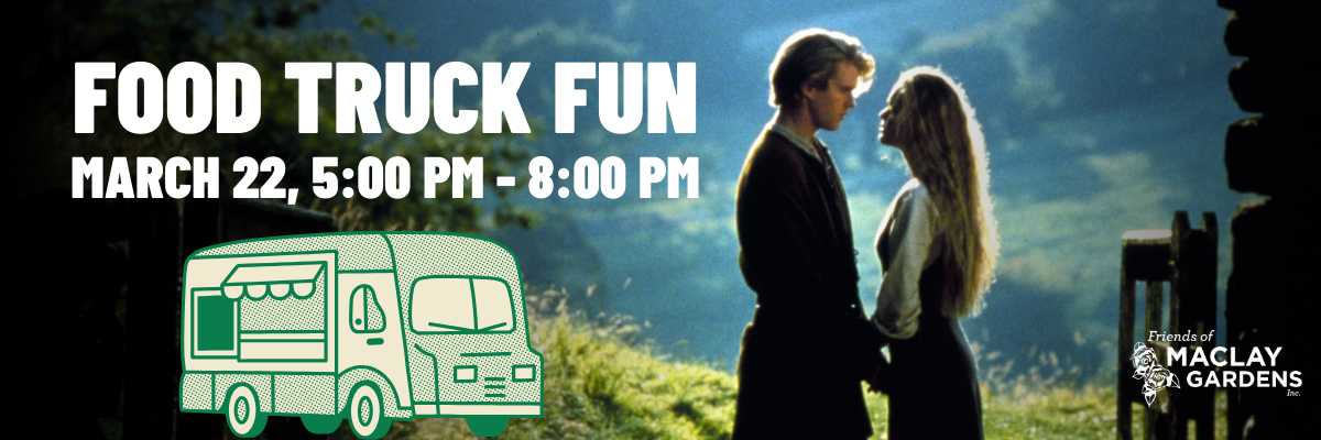 Image of The Princess Bride couple holding hands