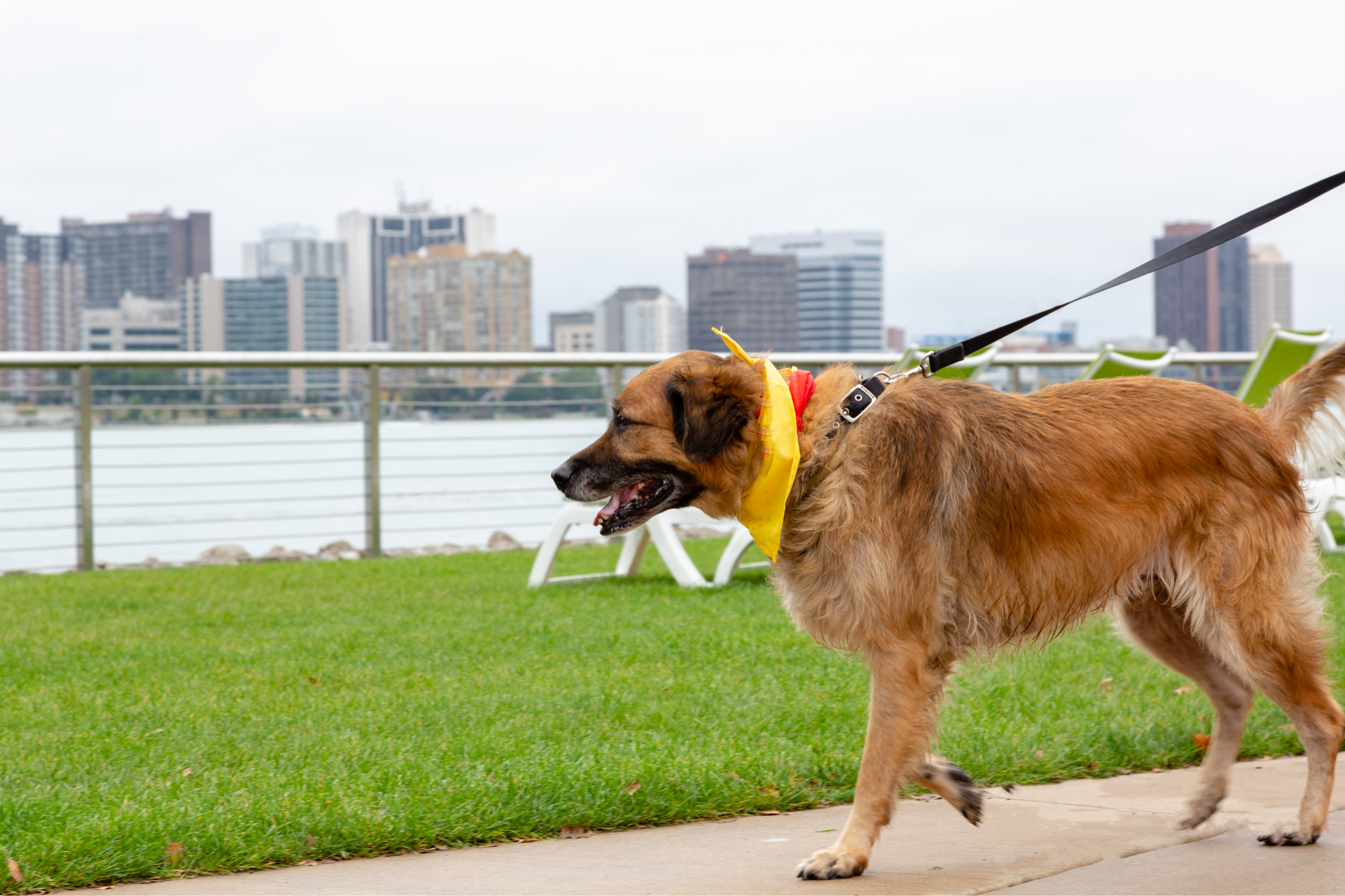 Card background image