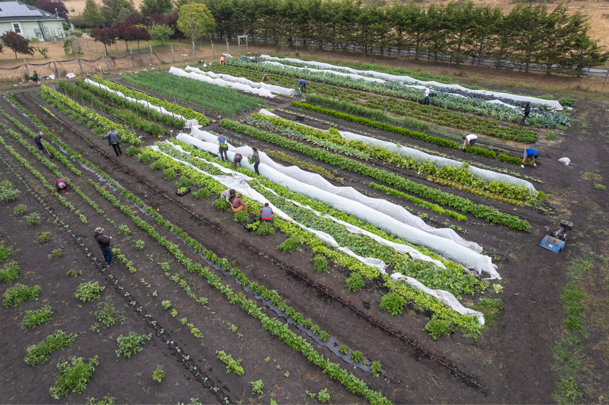 Card background image